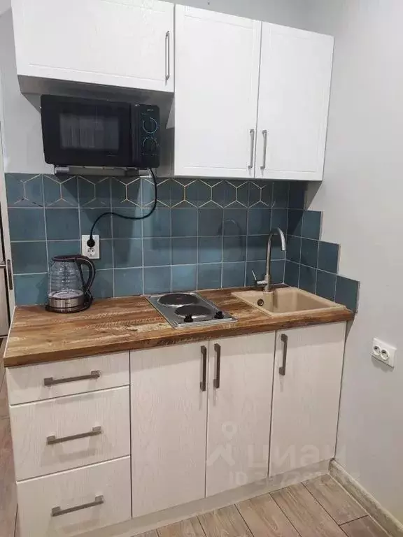 Студия Краснодарский край, Сочи ул. Ленина, 290/6 (25.0 м) - Фото 1