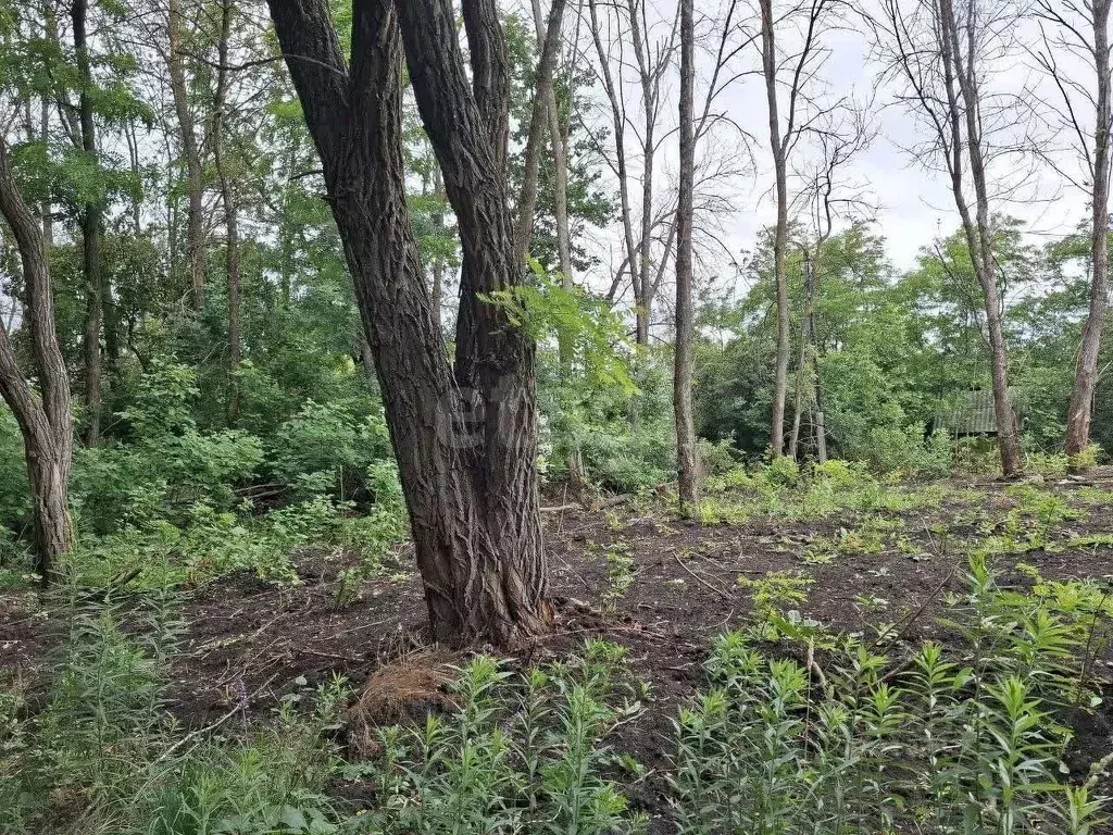 Участок в Белгородская область, Белгородский район, Северный городское ... - Фото 0
