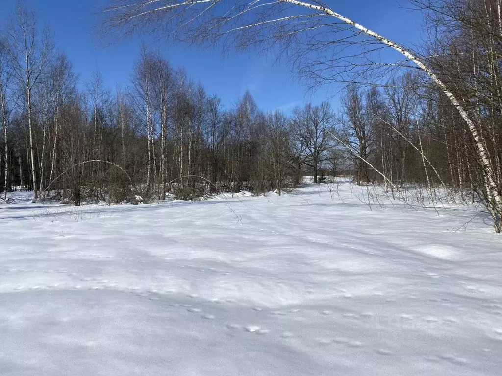 Участок в Московская область, Истра ул. Ленина, Река Истра (5.06 сот.) - Фото 1