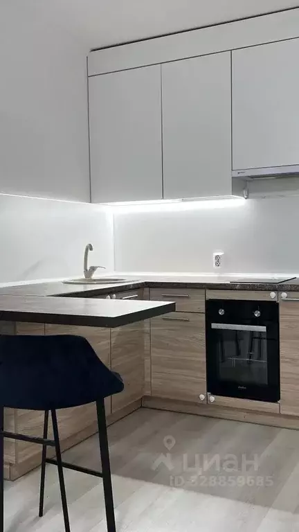 Студия Ленинградская область, Ломоносовский район, Виллозское ... - Фото 1