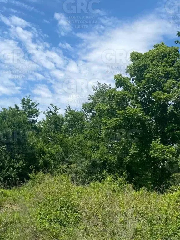 Участок в Краснодарский край, Сочи городской округ, с. Черешня ул. ... - Фото 0