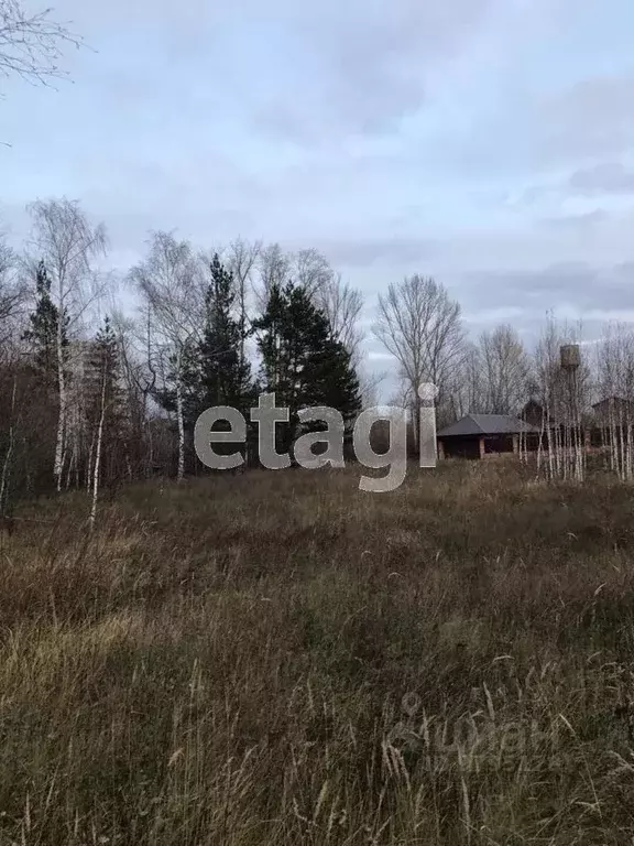 Участок в Татарстан, Лаишевский район, Столбищенское с/пос, с. Усады ... - Фото 0