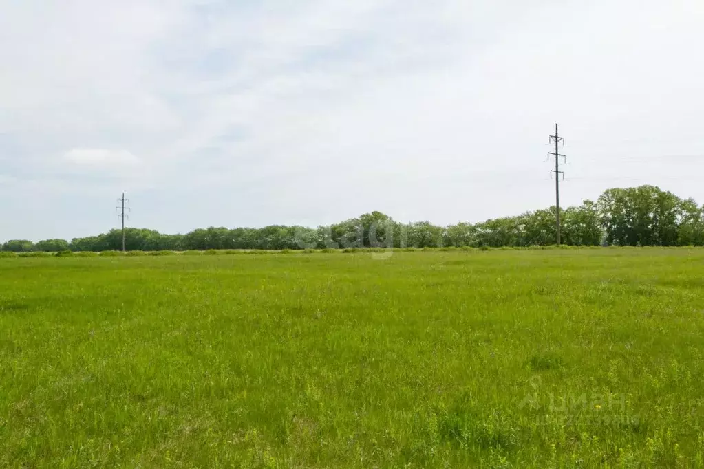 Участок в Новосибирская область, Новосибирский район, Морской ... - Фото 2