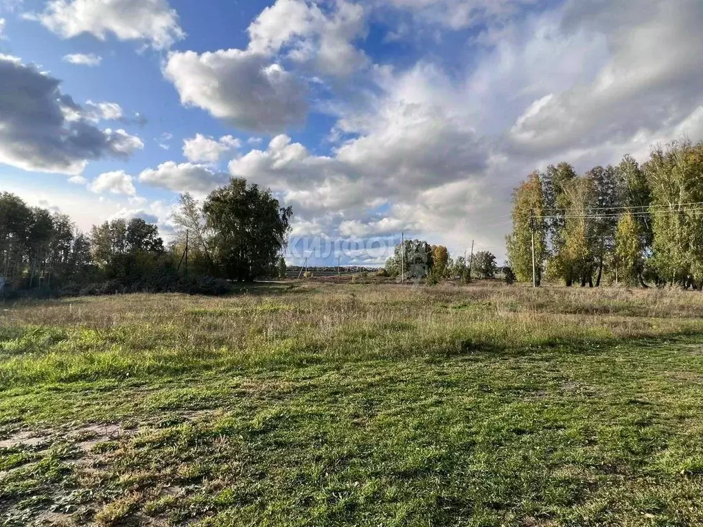 Участок в Новосибирская область, Ордынский район, с. Красный Яр ул. ... - Фото 1