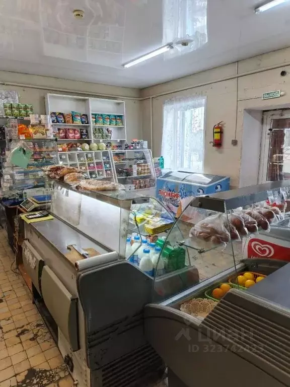 Торговая площадь в Курганская область, Курган пос. Затобольный, ... - Фото 1