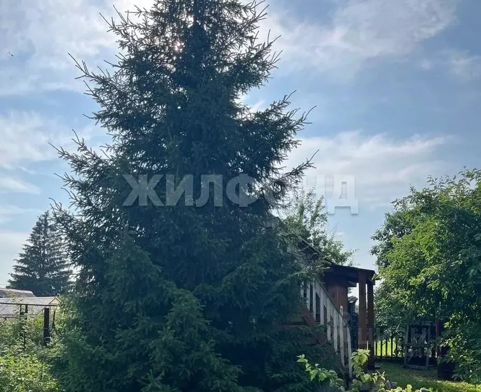 Дом в Новосибирская область, Новосибирский район, Кудряшовский ... - Фото 1