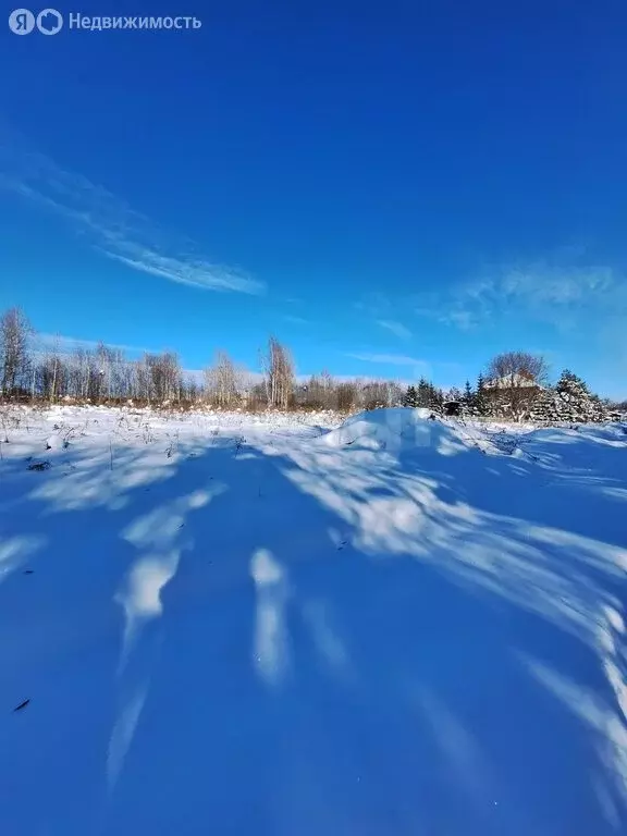 Участок в Тульская область, городской округ Тула, деревня Фёдоровка ... - Фото 2