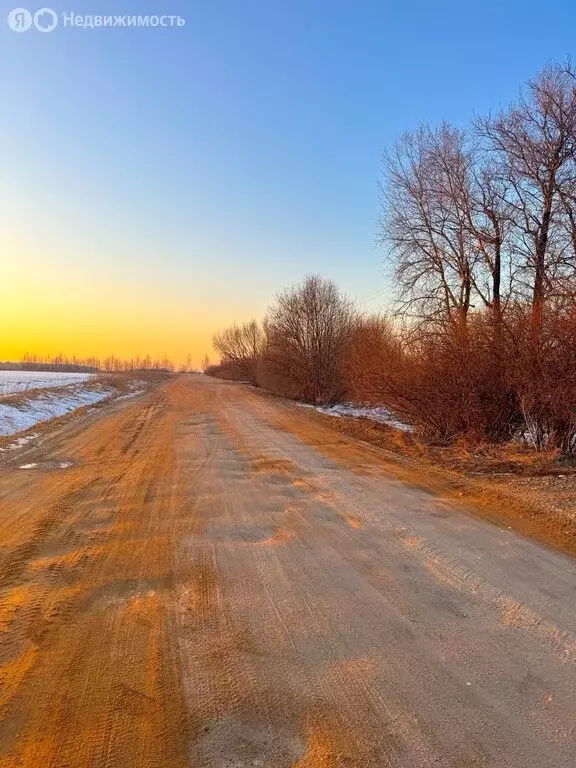 Участок в Московская область, Дмитровский муниципальный округ, деревня ... - Фото 1