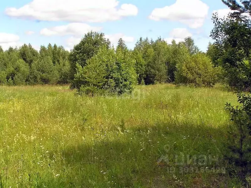 Участок в Свердловская область, Первоуральск городской округ, пос. ... - Фото 1