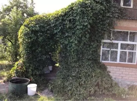 Дом в Челябинская область, Копейск Дзержинец СНТ,  (35 м) - Фото 1