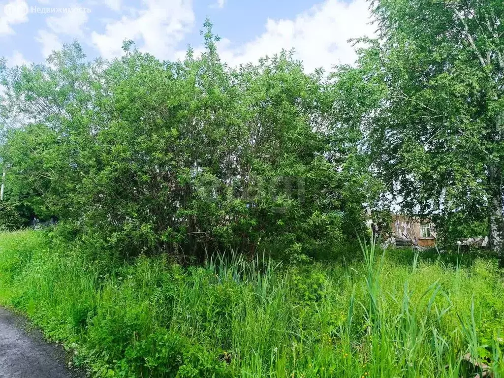 Участок в Тайга, Красноармейская улица (8.5 м) - Фото 1