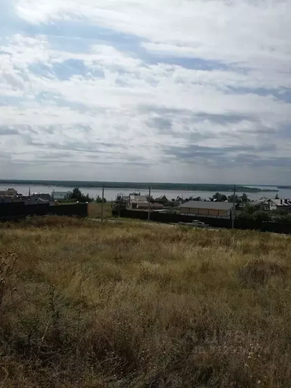 Участок в Саратовская область, Воскресенский район, Елшанское ... - Фото 0