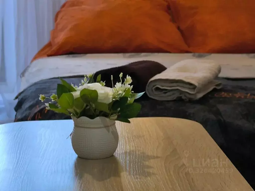 Студия Удмуртия, Ижевск ул. Дарьинская, 2 (25.0 м) - Фото 2