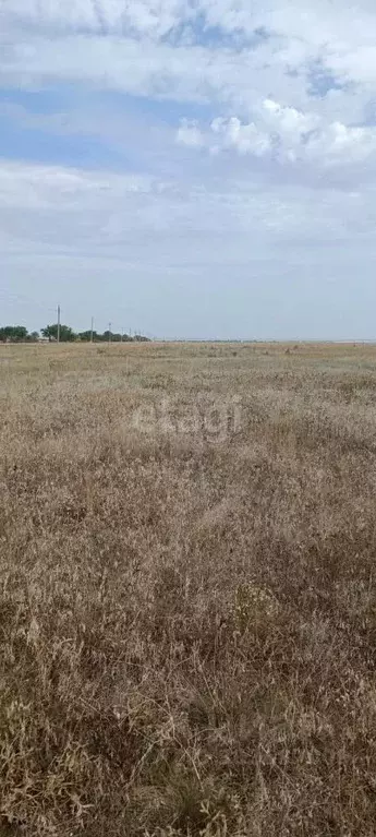 Участок в Крым, Сакский район, с. Штормовое ул. Ленина (6.0 сот.) - Фото 1