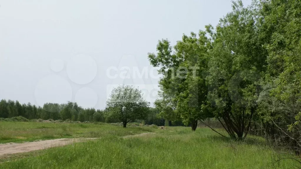 Участок 14,9 сот. (ИЖС) - Фото 1