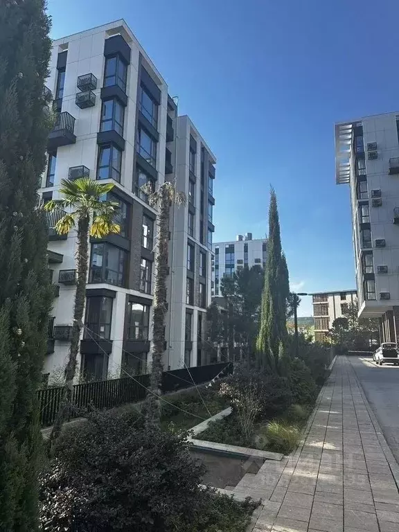 Свободной планировки кв. Краснодарский край, Сочи Курортный просп., ... - Фото 1