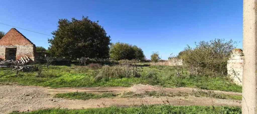 Помещение свободного назначения в Краснодарский край, Крымский район, ... - Фото 2