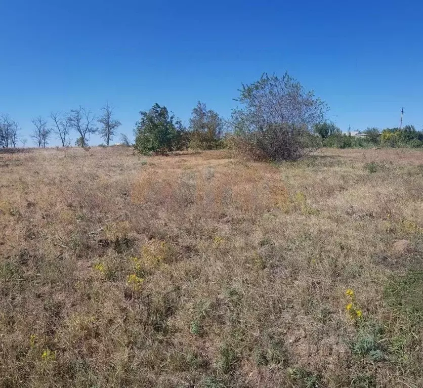 Участок в Крым, Симферопольский район, с. Скворцово  (10.0 сот.) - Фото 2
