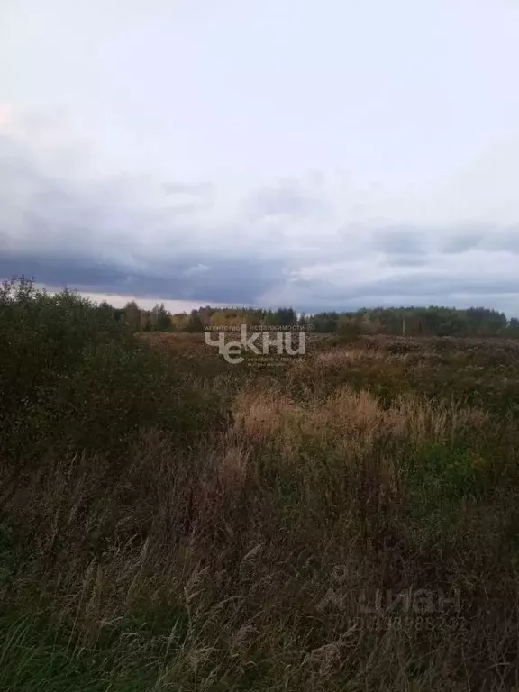 Участок в Нижегородская область, Городецкий муниципальный округ, с. ... - Фото 1