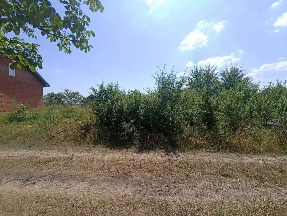 Участок в Краснодарский край, Крымский район, Крымское городское ... - Фото 1