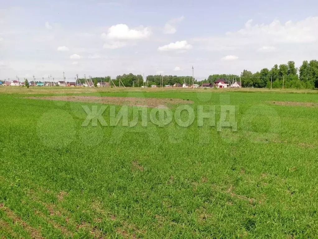 Участок 3,28 га (СНТ, ДНП) - Фото 1