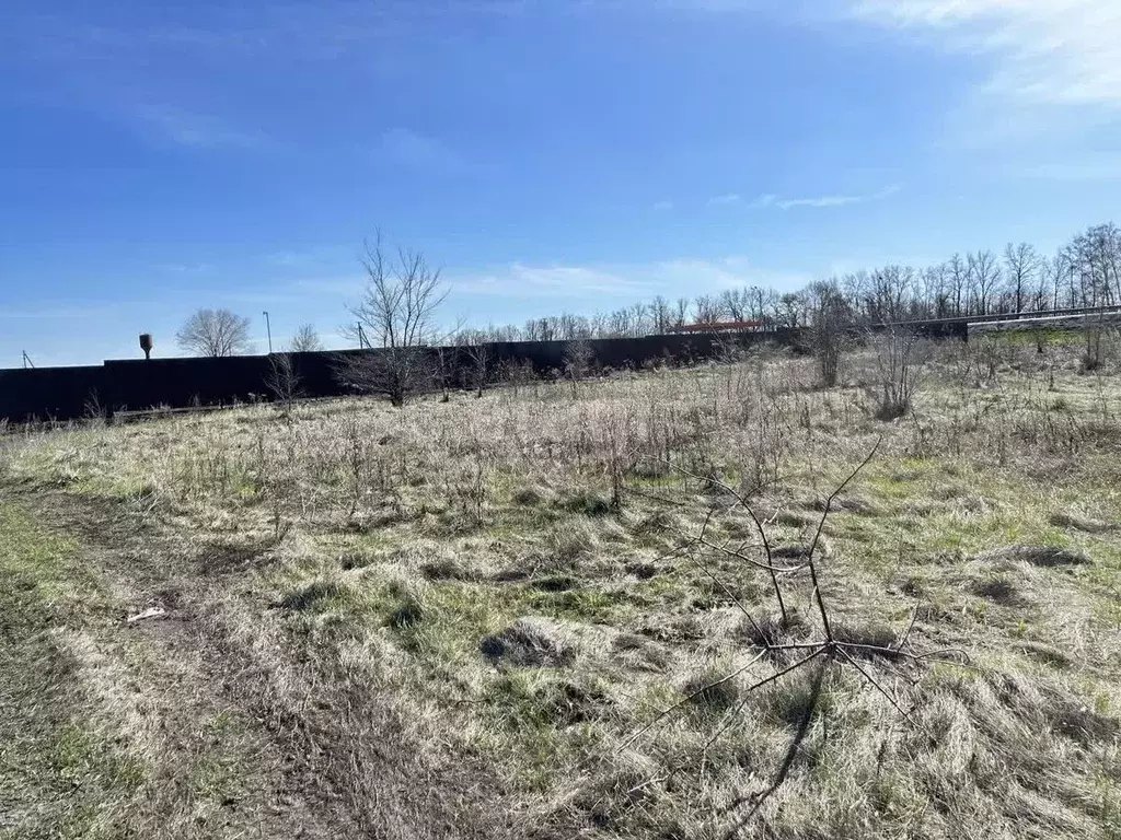 Участок в Воронежская область, Новоусманский район, с. Рогачевка ... - Фото 1