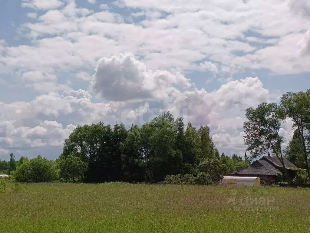 Участок в Тверская область, Калининский муниципальный округ, д. ... - Фото 2