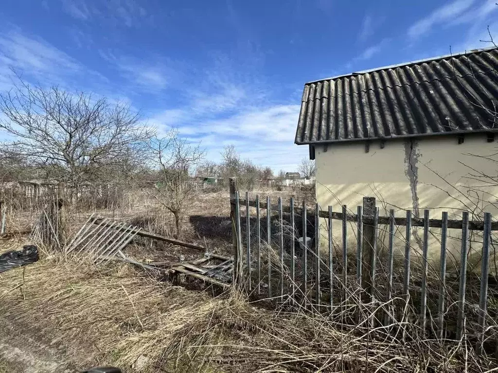 Участок в Брянская область, Брянский район, Снежское с/пос, с. ... - Фото 2