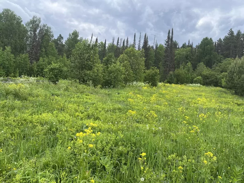 Участок в Челябинская область, Кусинский муниципальный округ, д. ... - Фото 2