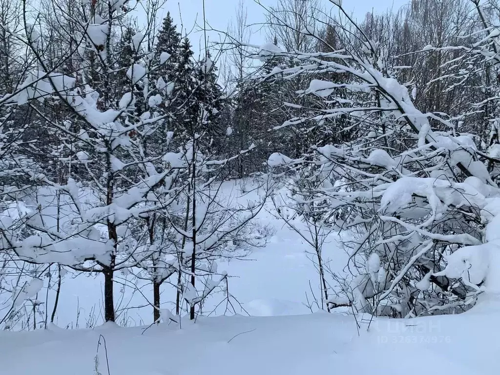 Участок в Московская область, Истра ул. Ленина, Река Истра (27.07 ... - Фото 1