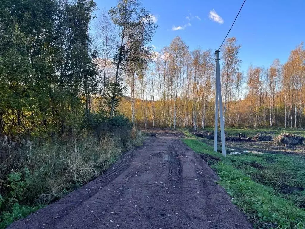 Участок в Ленинградская область, Приозерский район, Кузнечнинское ... - Фото 1