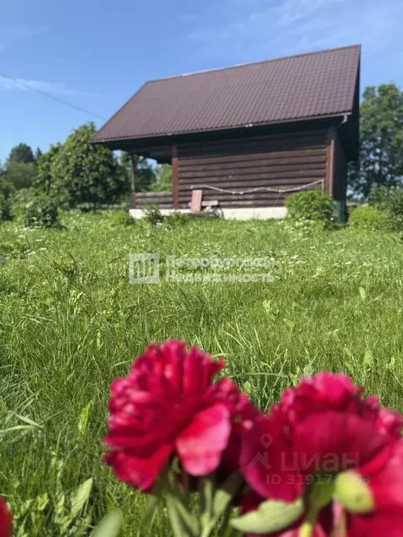 Участок в Ленинградская область, Гатчинский район, д. Луйсковицы ... - Фото 0