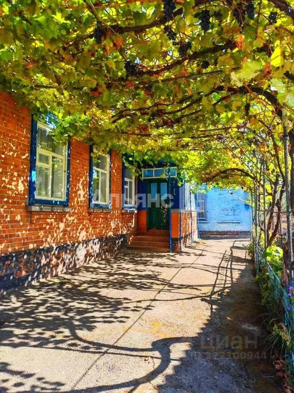 Дом в Краснодарский край, Усть-Лабинск ул. Калинина (65 м) - Фото 0