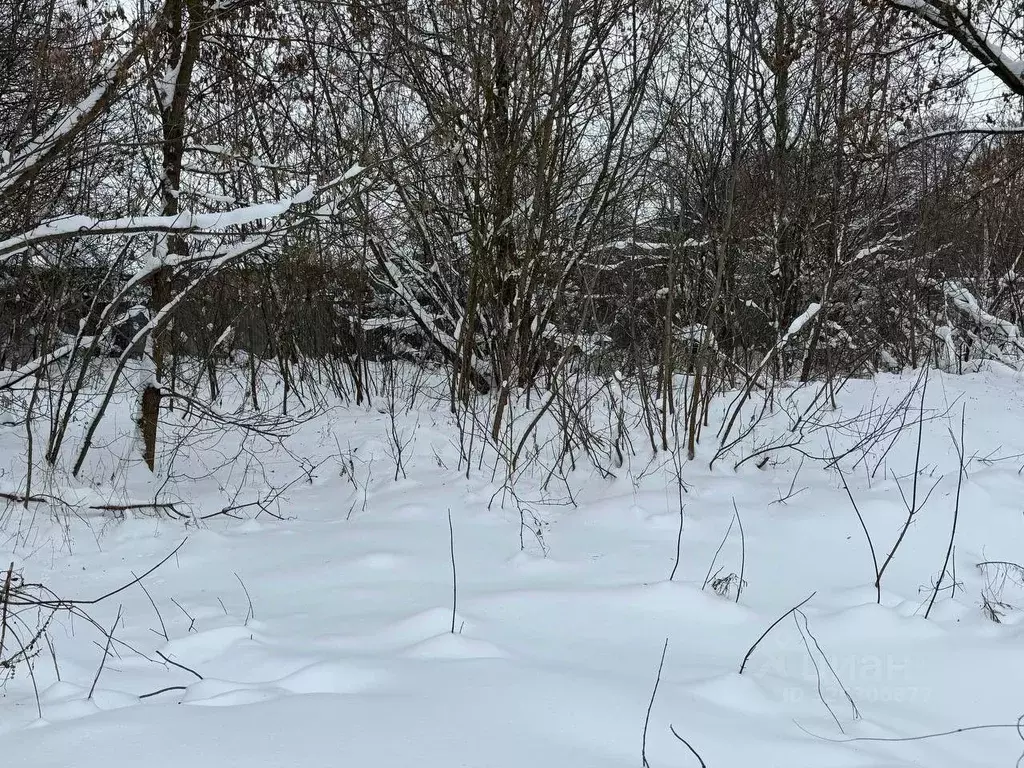 Участок в Московская область, Старая Купавна Богородский городской ... - Фото 2