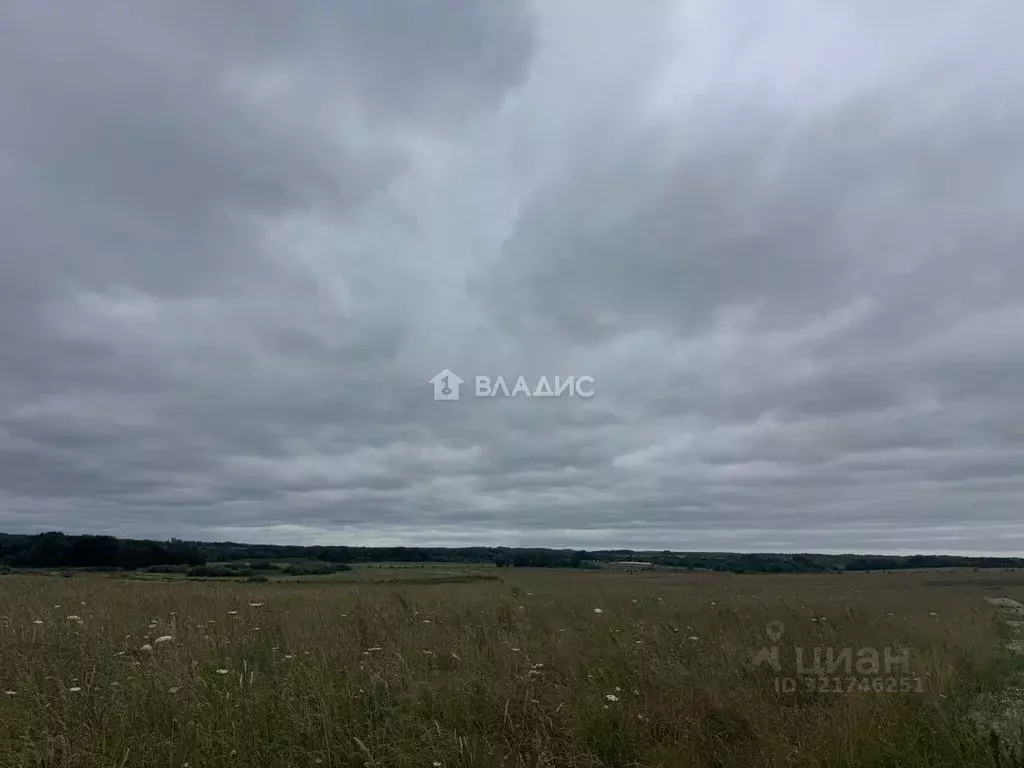 Участок в Калининградская область, Зеленоградский муниципальный округ, ... - Фото 1
