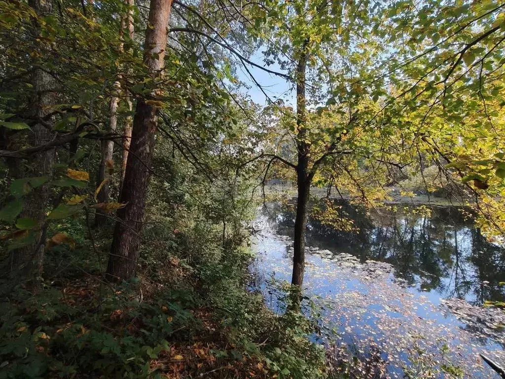 Участок в Башкортостан, Стерлитамакский район, Наумовский сельсовет, ... - Фото 0