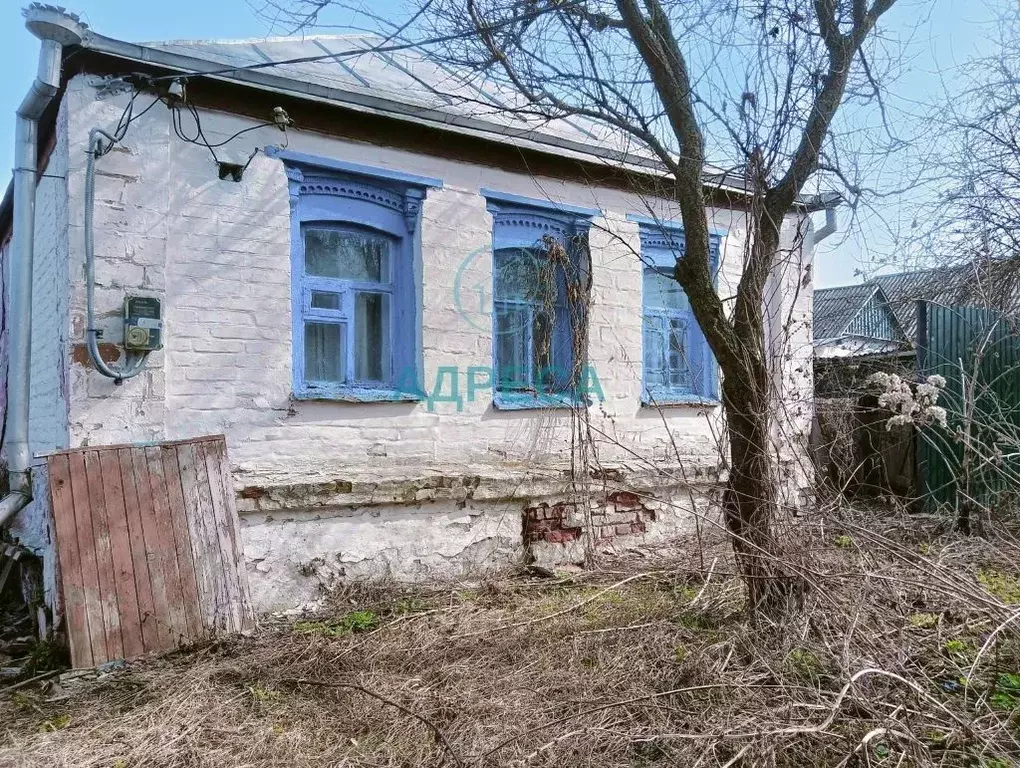 Дом в Белгородская область, Новооскольский городской округ, с. ... - Фото 2