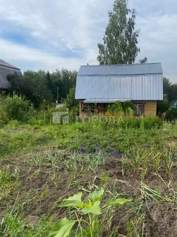 Дом в Новосибирская область, Новосибирский район, Новолуговской ... - Фото 0