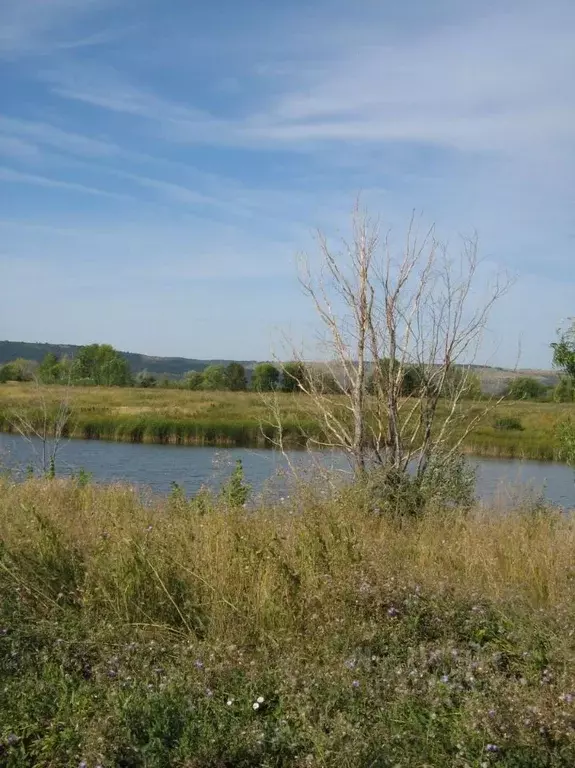 Участок в Самарская область, Приволжский район, Новоспасский с/пос, с. ... - Фото 2