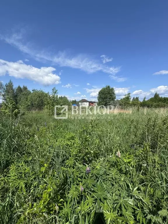 Участок в Костромская область, Кострома ул. Героев (8.6 сот.) - Фото 0