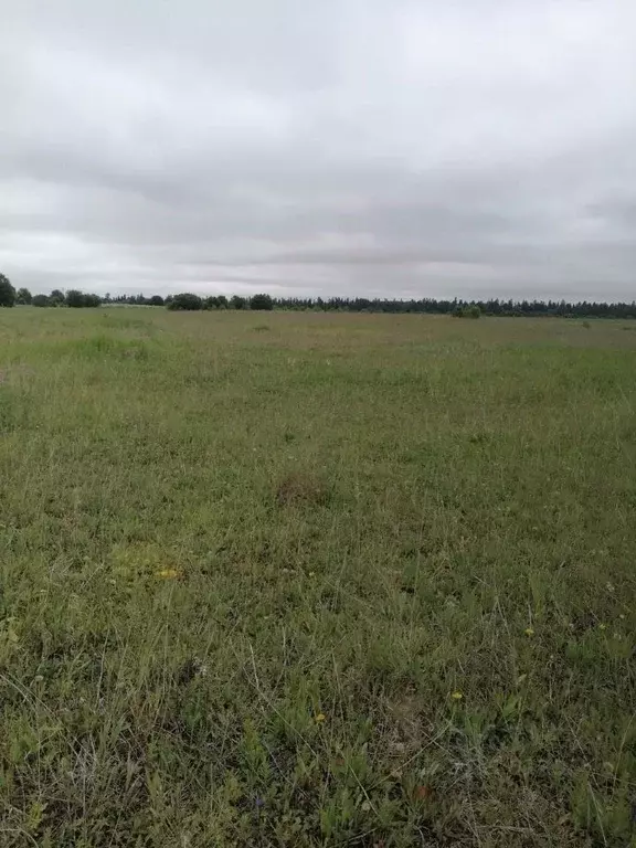 Участок в Ленинградская область, Ломоносовский район, Кипенское с/пос, ... - Фото 2