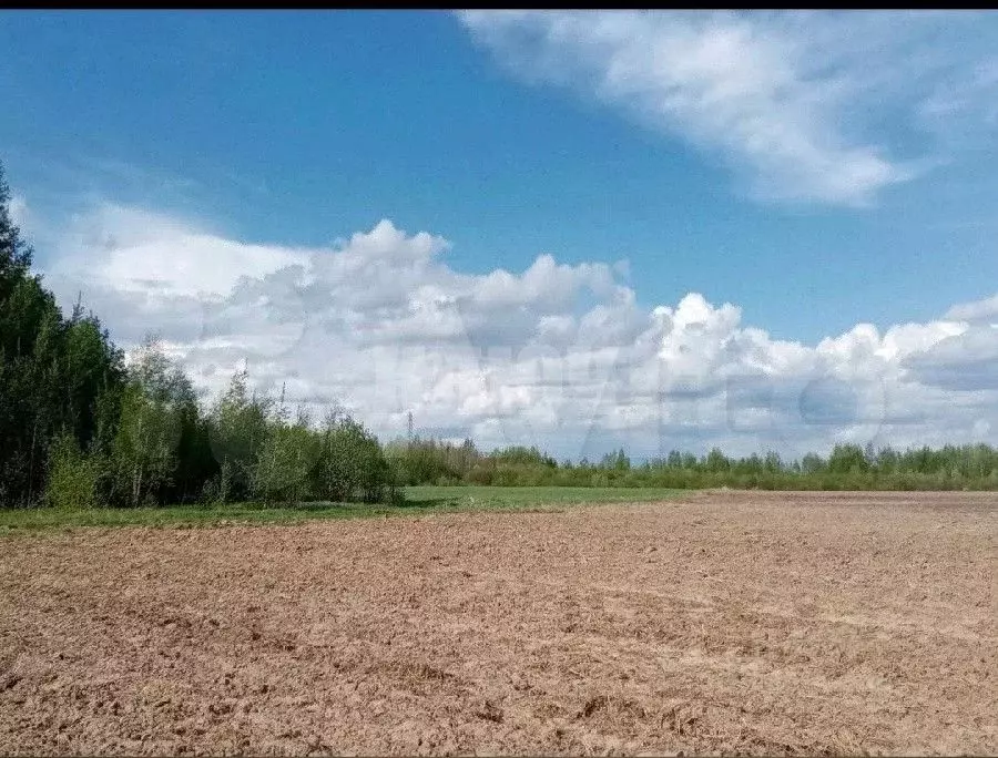 Купить Земельный Участок Череповецком Районе Вологодской Области