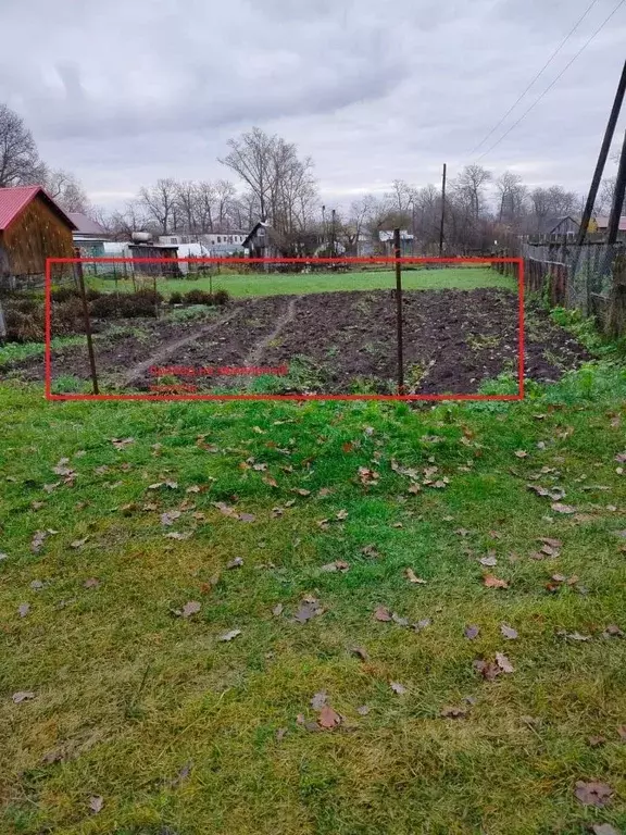 Участок в Московская область, Луховицы муниципальный округ, д. Лисьи ... - Фото 1