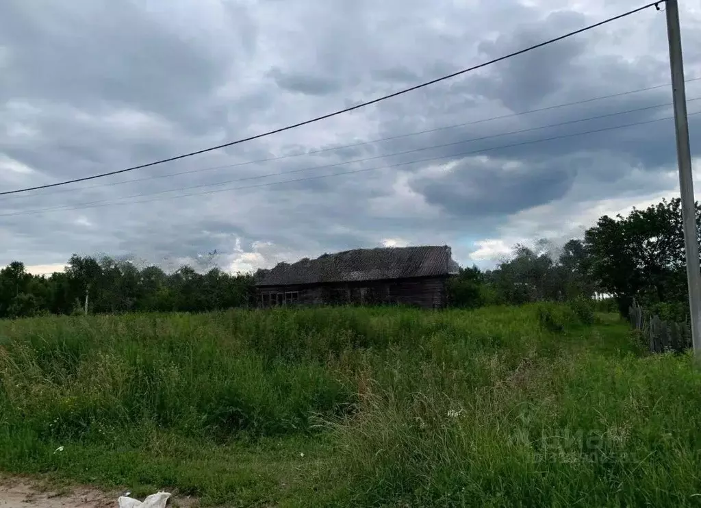 Участок в Тульская область, Тула городской округ, д. Сине-Тулица  ... - Фото 1