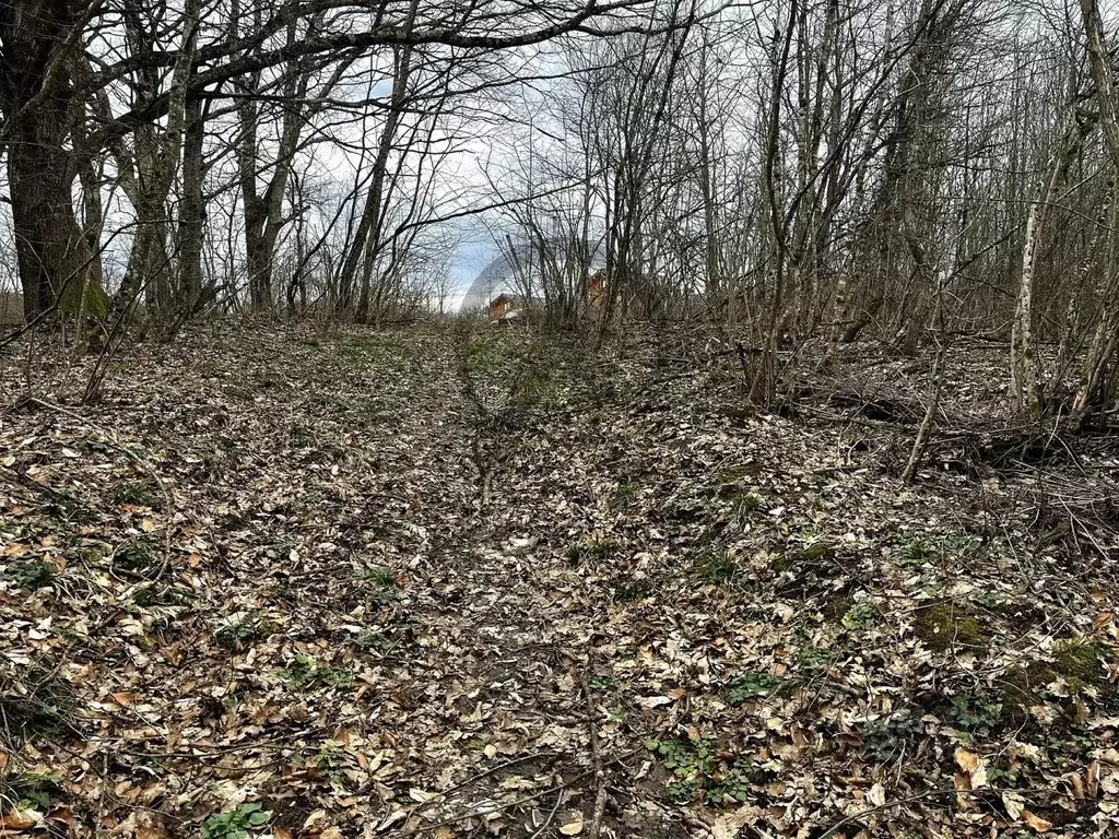 Участок в Краснодарский край, Апшеронский район, Нефтегорск пгт  (25.0 ... - Фото 2