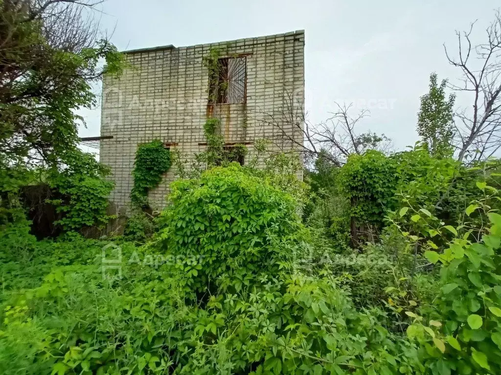 Участок в Волгоградская область, Волгоград Дзержинец СНТ, ... - Фото 2