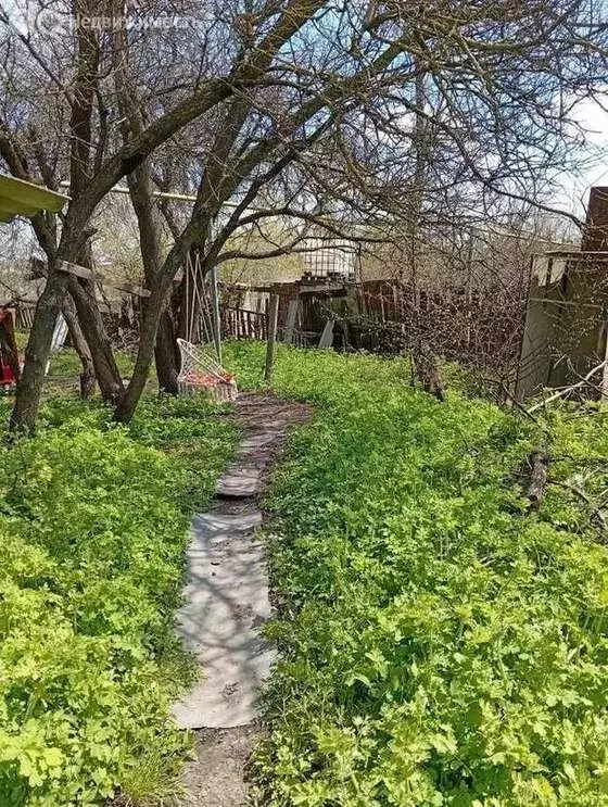 Дом в Белгородская область, Яковлевский муниципальный округ, хутор ... - Фото 2