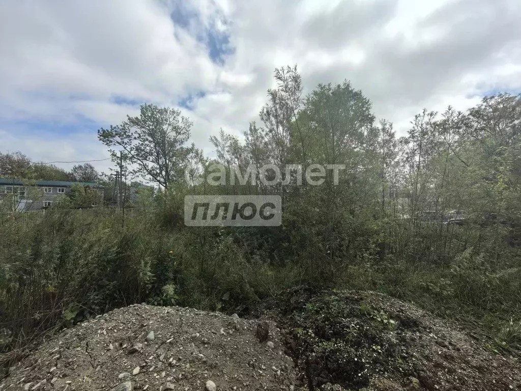 Участок в Сахалинская область, Анивский городской округ, с. Троицкое  ... - Фото 0