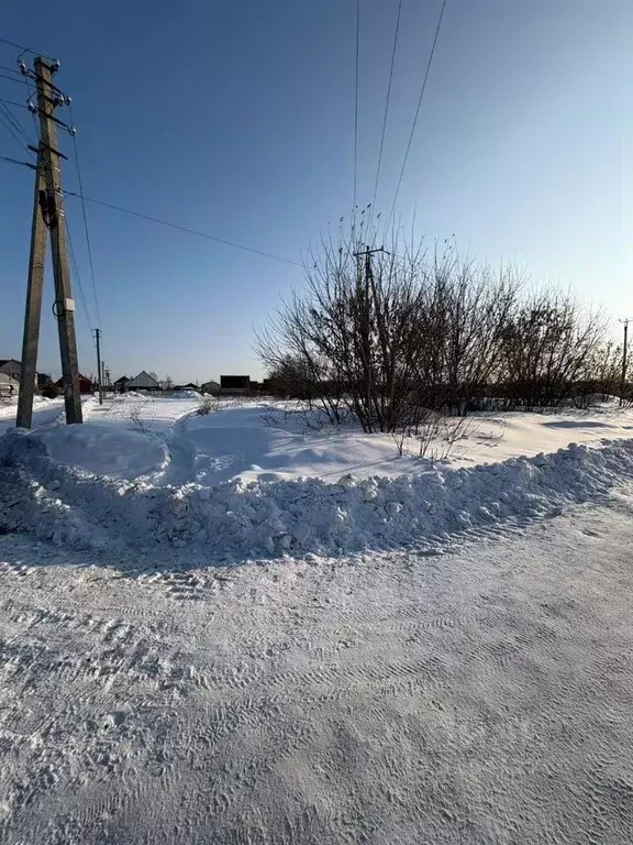 Участок в Алтайский край, Барнаул Новосиликатный мкр,  (9.0 сот.) - Фото 1