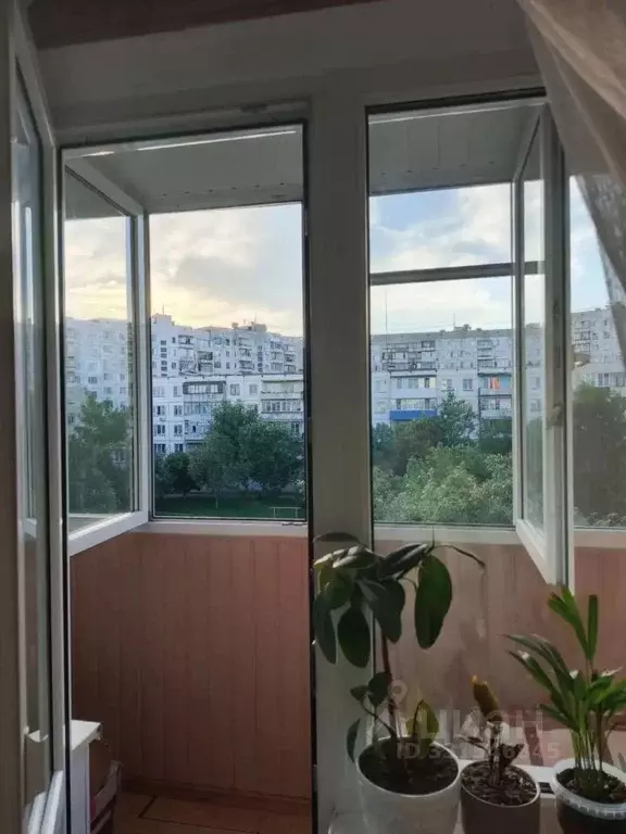 2-к кв. Челябинская область, Челябинск просп. Победы, 291Б (47.0 м) - Фото 1